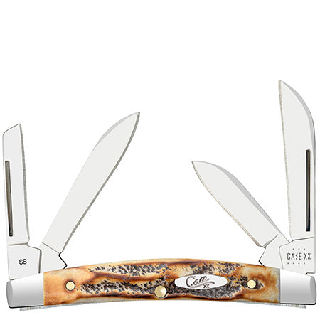 Case 6.5 Bonestag- Small Congress 65337